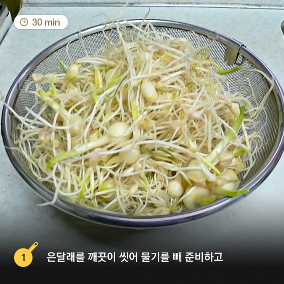 은달래 이미지