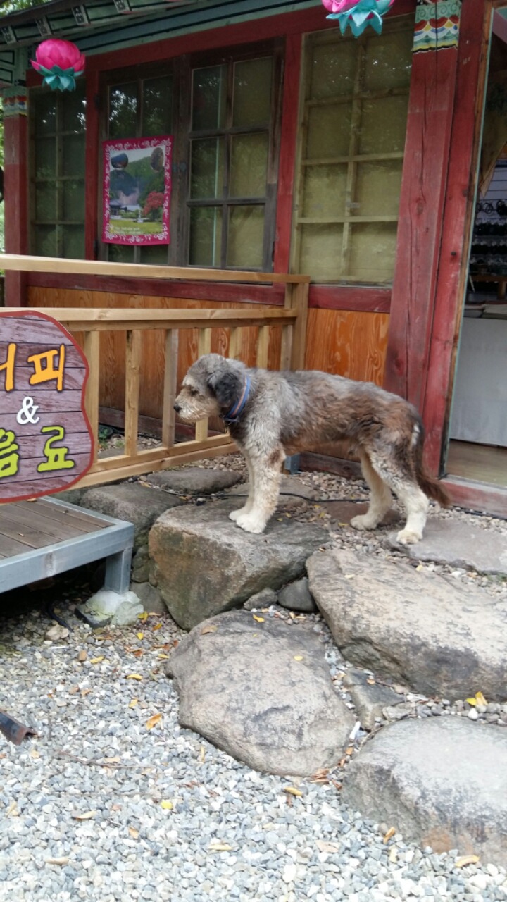 강산애 이미지