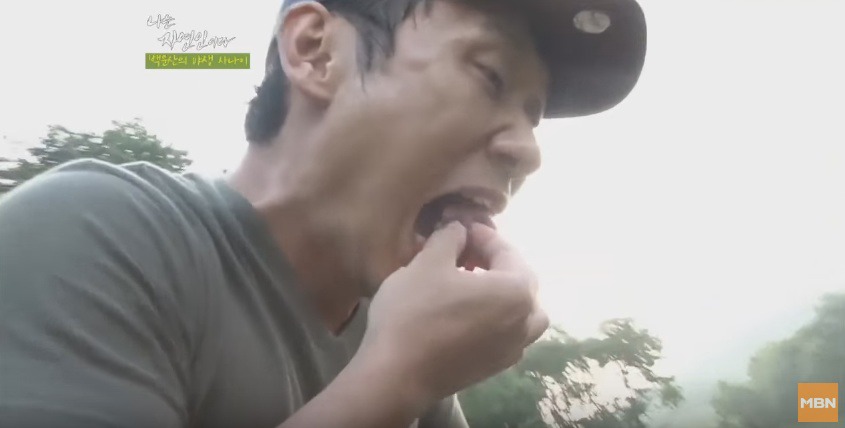 죽은지 하루정도 지난 고라니 간 먹는 이승윤 | 인스티즈