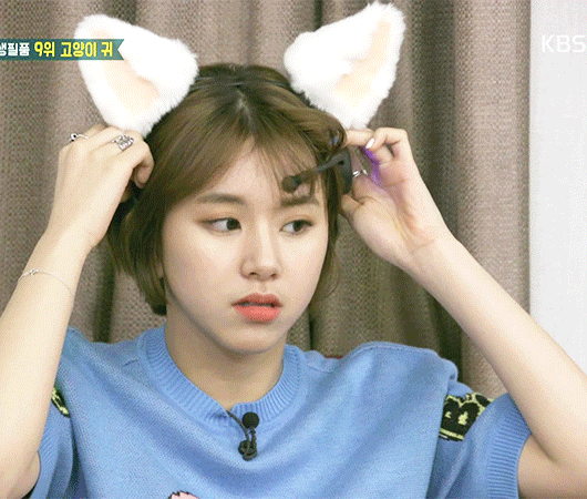 트와이스 채영 | 인스티즈