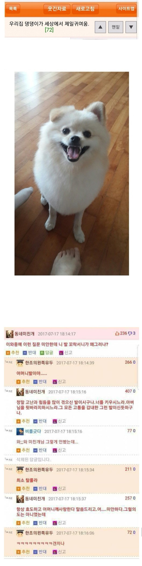앞으로의 탈룰라사태를 방지하기 위한 필사의 몸부림 | 인스티즈
