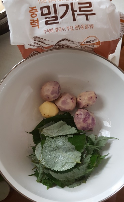 모시칼국수 이미지
