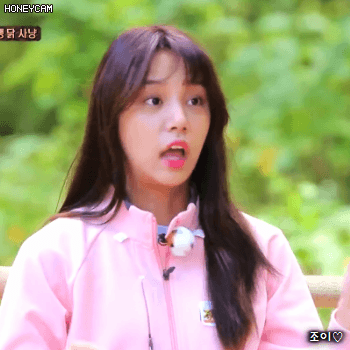 171201 정글의법칙 쿡아일랜드 라붐 솔빈.gif | 인스티즈