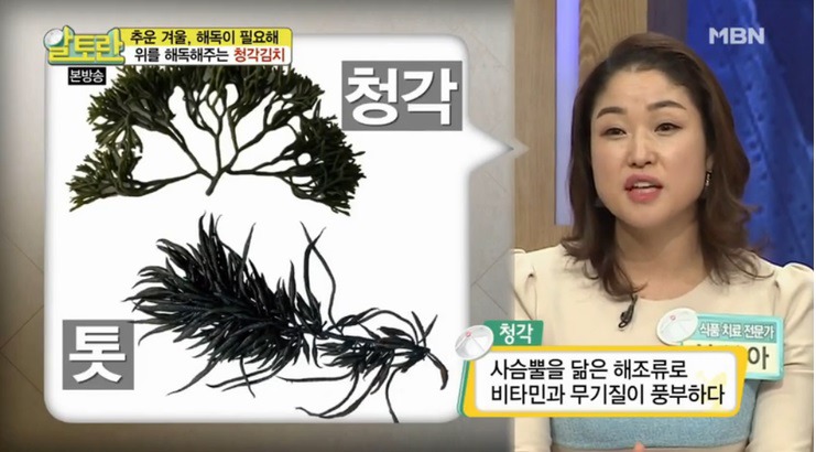 전라도김치에 자주 사용되는 해조류 | 인스티즈