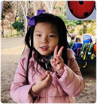 옷잎 이미지