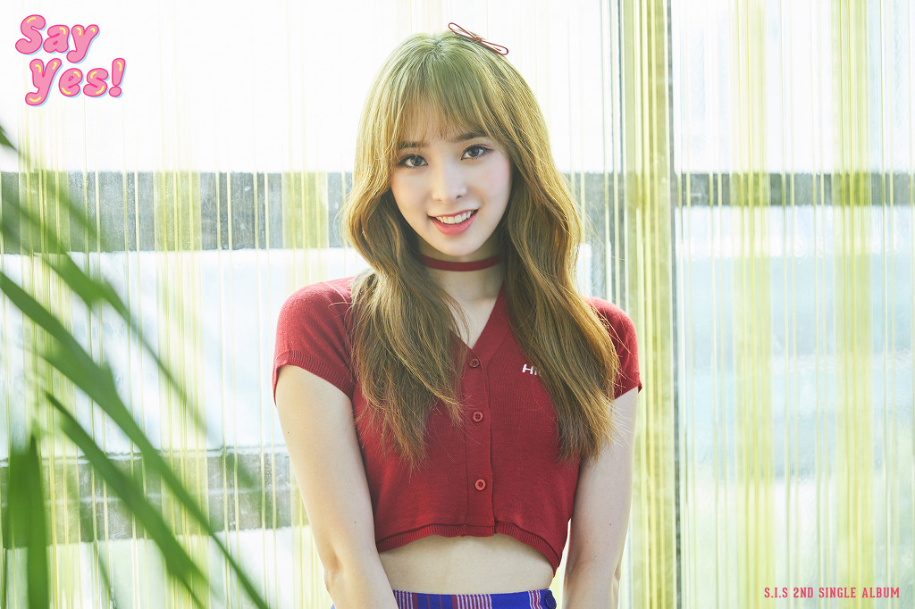 YES 이미지