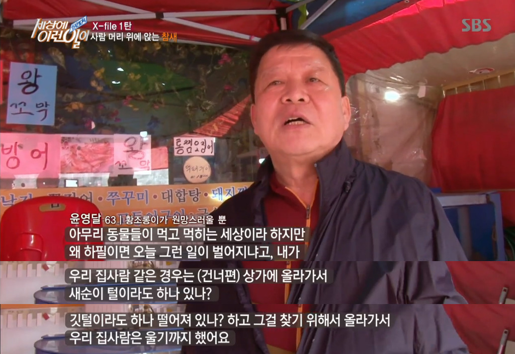 [세상에이런일이] 엄청 충격적이였던 오늘편 사람을 좋아하는 참새 새순이 이야기.jpg | 인스티즈