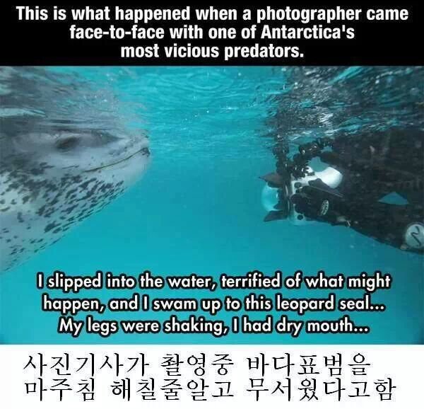 네셔널 지오그래픽 레전드 사건 | 인스티즈