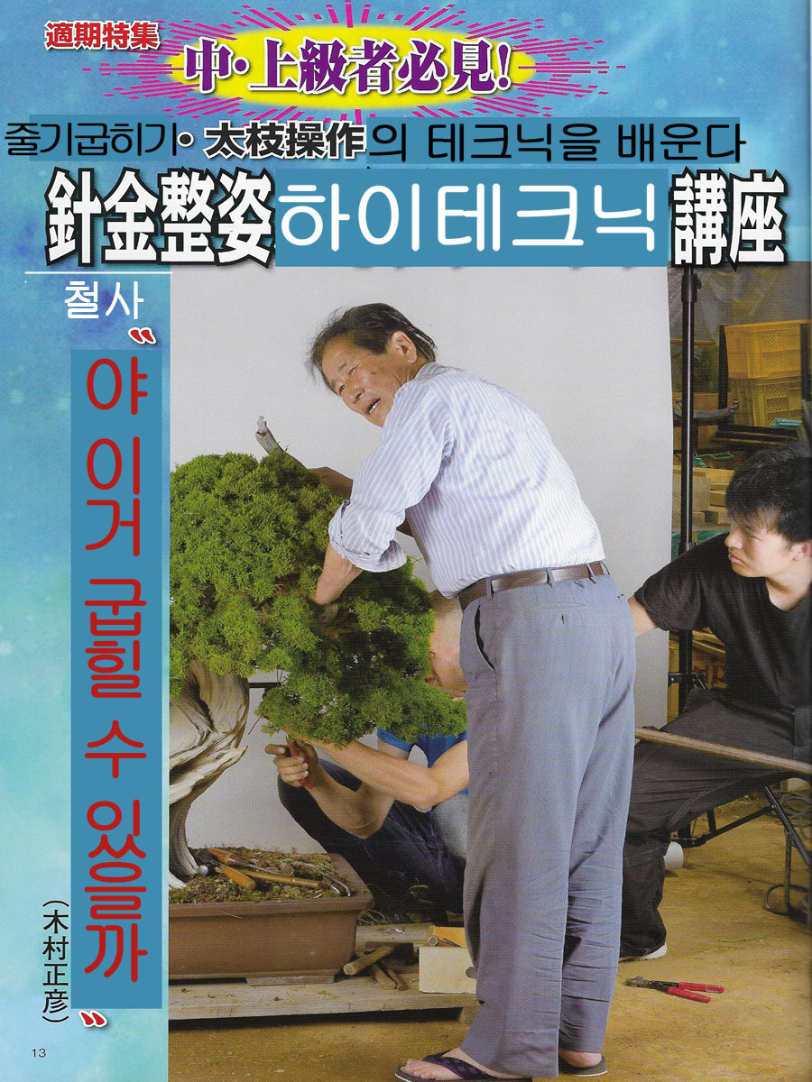 정언 이미지