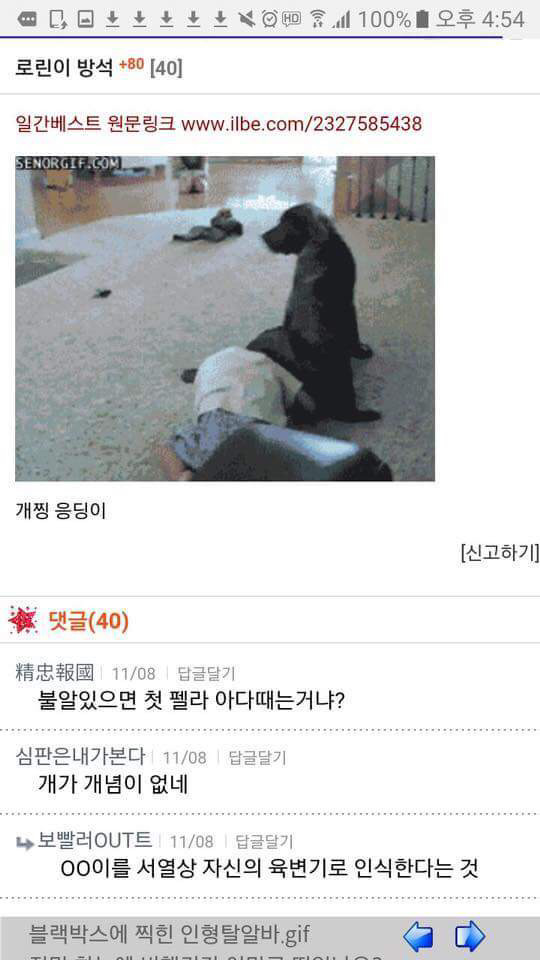 일베에 로린이를 검색해보았다 (혐오주의) | 인스티즈