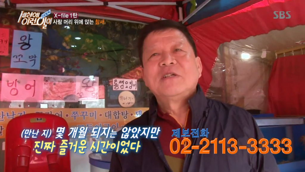 [세상에이런일이] 엄청 충격적이였던 오늘편 사람을 좋아하는 참새 새순이 이야기.jpg | 인스티즈