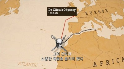우리가 커피를 값싸게 먹을수 있는 이유 | 인스티즈