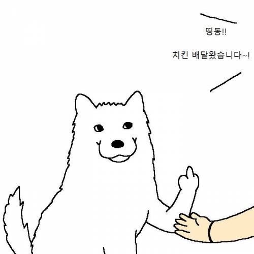 개가 치킨 먹고 싶어하는 만화 | 인스티즈