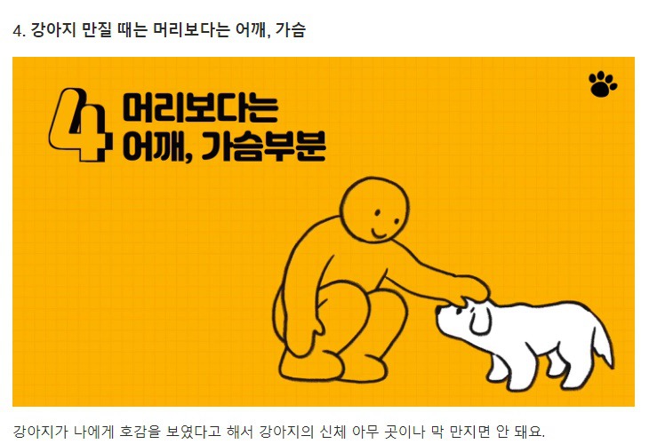 처음 만난 강아지와 인사하는 방법 | 인스티즈