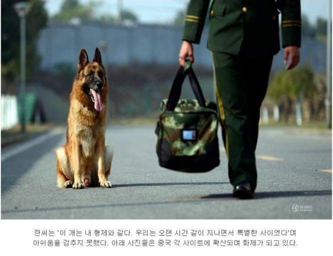 은퇴하는 조련사 막는 경찰견 jpg | 인스티즈