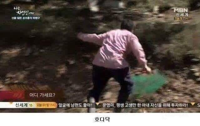 반지의 제왕 톨킨의 세계관 속 축생들 - 용들의 아버지 글라우룽(8) | 인스티즈