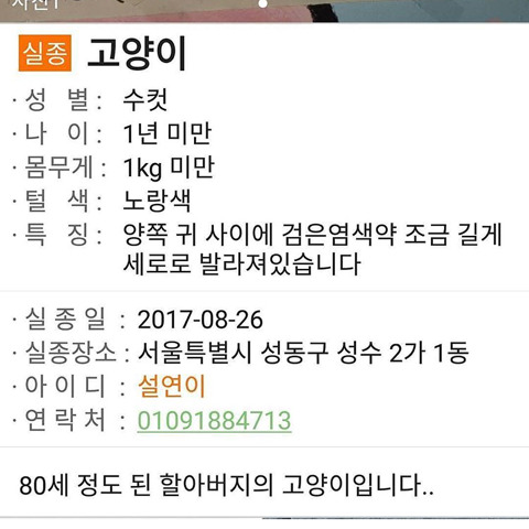 서울시 성동구에서 80세 할아버지가 키우시는 고양이를 찾아주세요! | 인스티즈