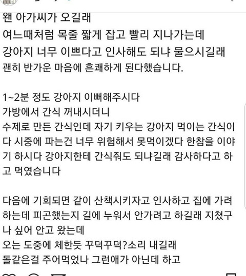 강아지 산책 중에 간식 얻어먹고 죽었어요 | 인스티즈