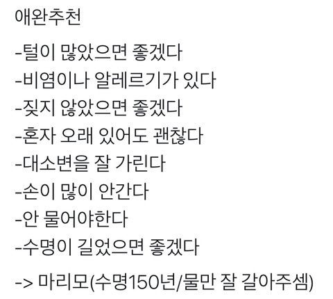만인의 애완동물 | 인스티즈