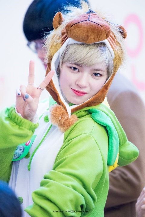 트와이스 유정연 | 인스티즈