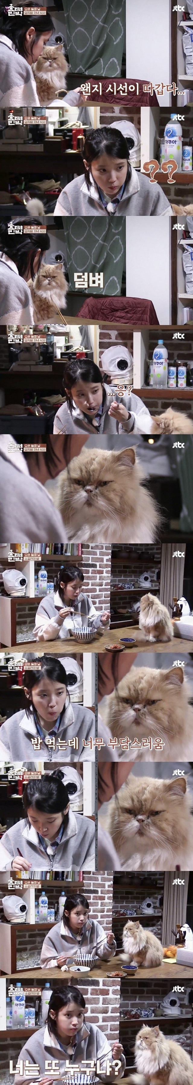 아이유 팬미팅에 도착한 이상한 화환 ㅋㅋㅋㅋㅋ.jpg | 인스티즈