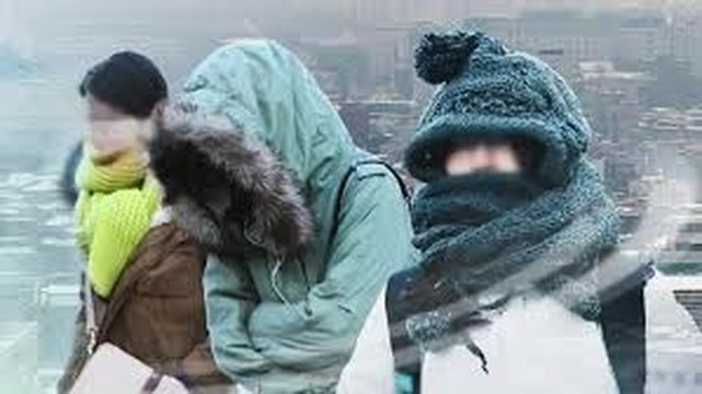 그렇게 오라고 했는데 막상 오니까 꼴도 보기 싫어지는 녀석 | 인스티즈