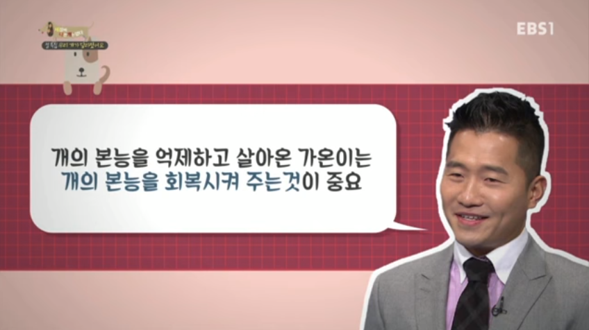 강형욱 개 교육 프로그램 보시는분 공감 | 인스티즈