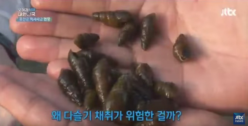 대한민국에서 익사사고가 가장 많이 발생하는 지역 | 인스티즈
